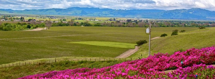 216056_10150217056349085_7606900_n2-720x266